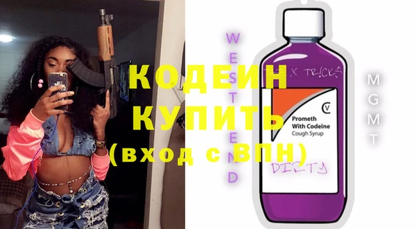 МДПВ Пересвет