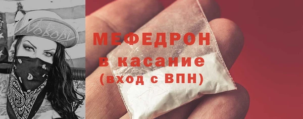 МДПВ Пересвет
