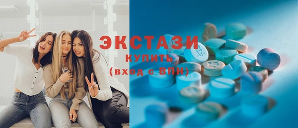 МДПВ Пересвет