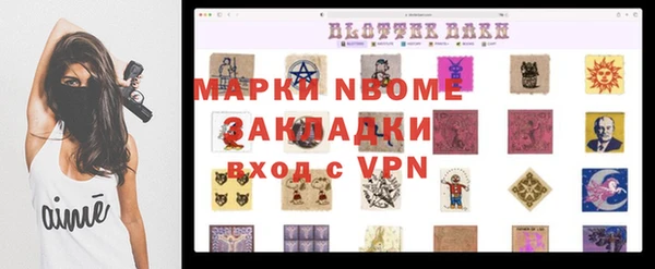 МДПВ Пересвет