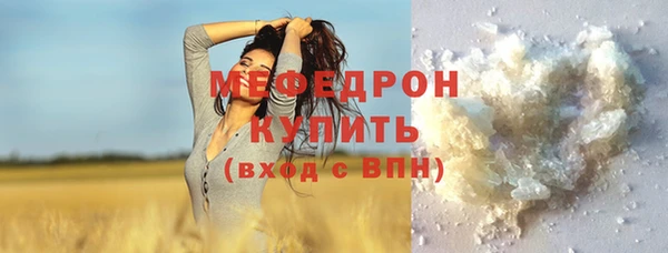 МДПВ Пересвет
