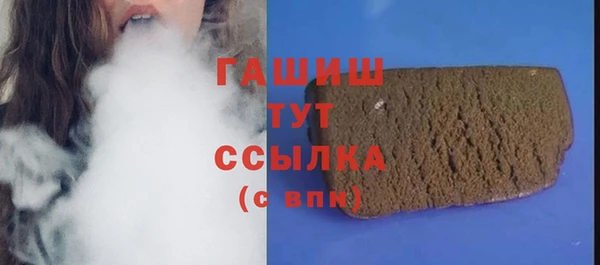 МДПВ Пересвет