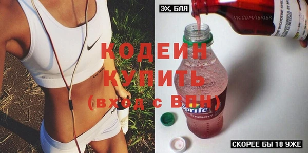 МДПВ Пересвет