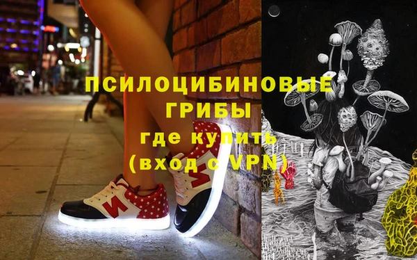 МДПВ Пестово