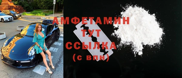 МДПВ Пересвет